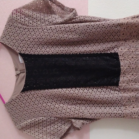 New York and Company Taupe Mixed Lace Sheath Dress - Picture 4 of 7